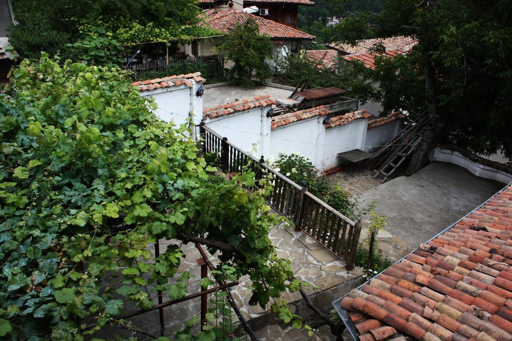 Hikers Hostel Weliko Tarnowo Exterior foto